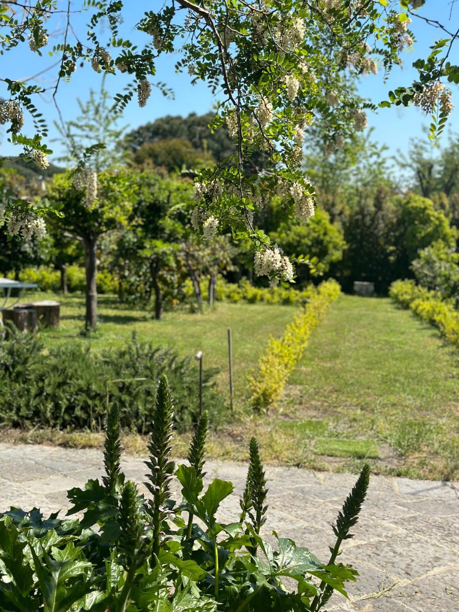 טורה דל גרקו Villa De Cillis Carafa מראה חיצוני תמונה